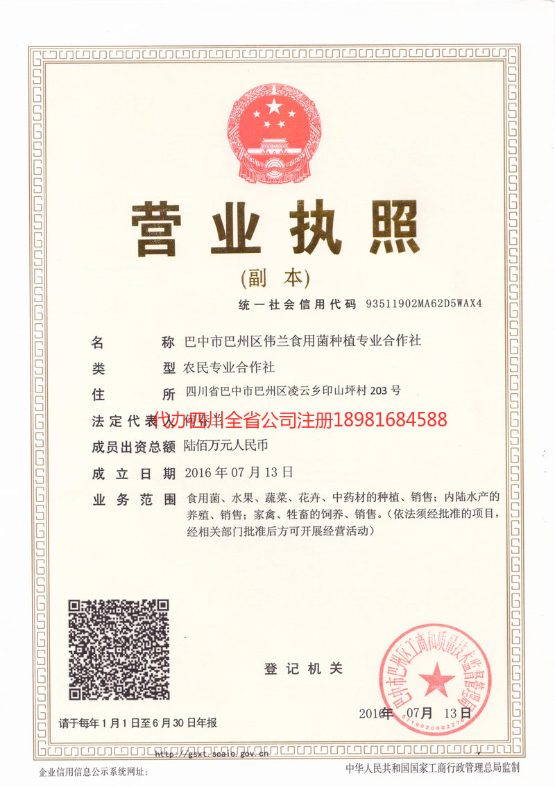 牟定牟定伟兰食用菌种植专业合作社