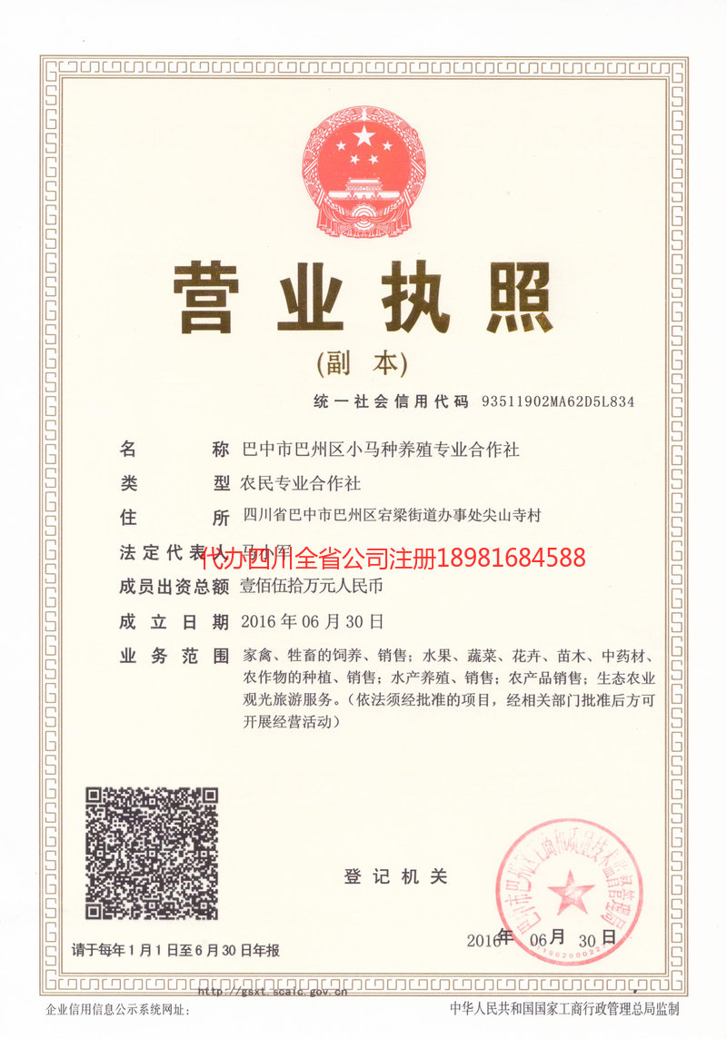 牟定牟定小马种养殖专业合作社